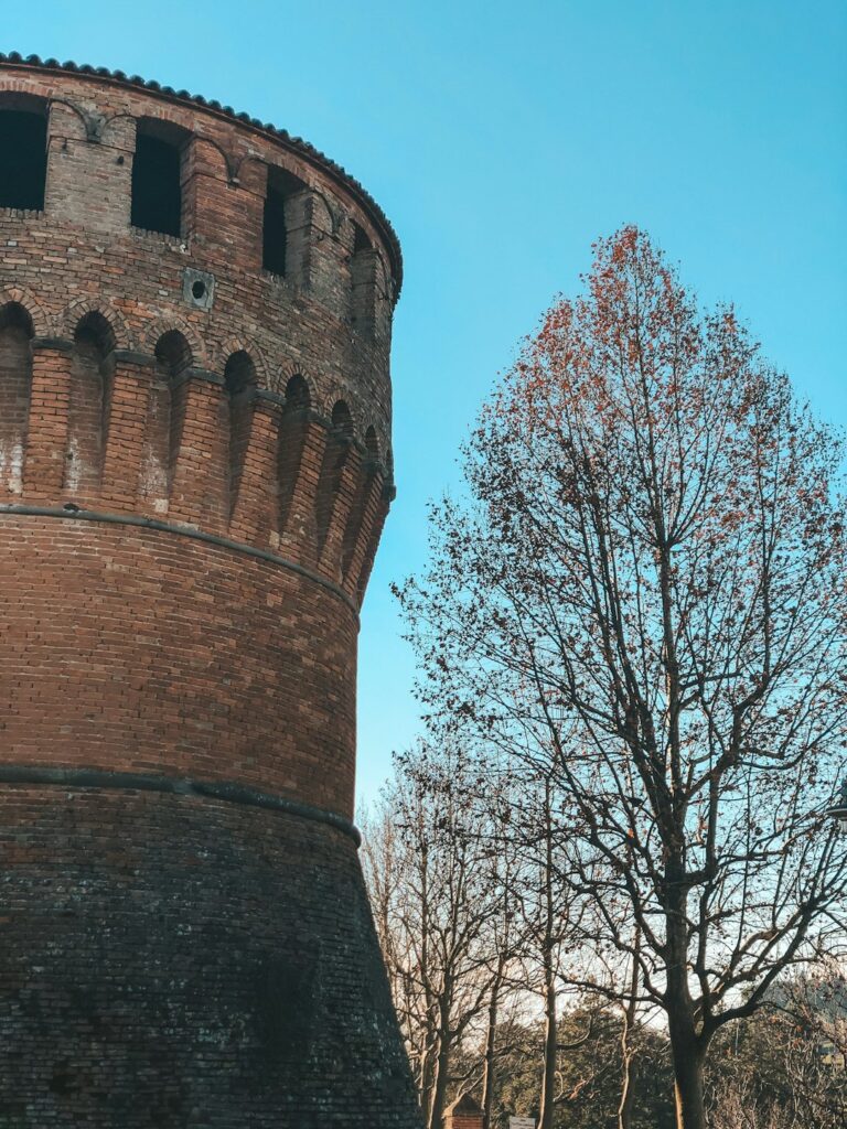 La torre rotonda di un castello e un albero spoglio