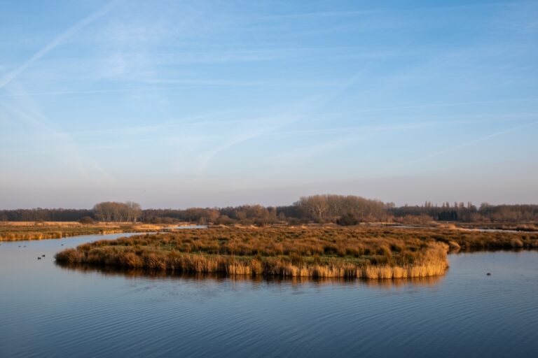 Tutela dell’ambiente