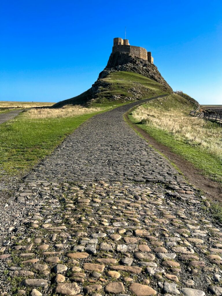 Un sentiero acciottolato verso un castello sulla rocca